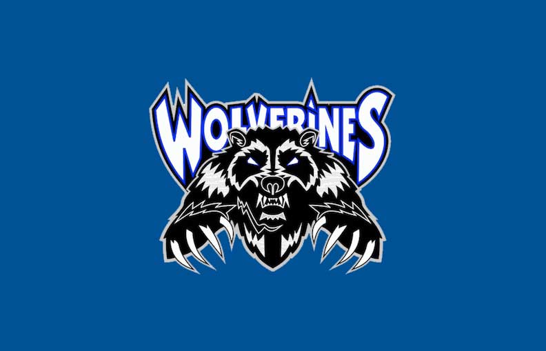 Tough tournament competition derails Wolverines – The Cordova Times
