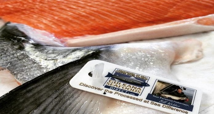 Each salmon harvested and processed by Gulkana Direct Seafoods is tagged with the company’s identification. Photo courtesy of Bill Webber