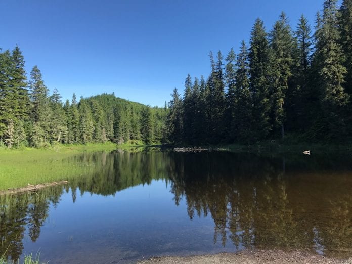 Cabin Lake is privately-owned and is one location of more than 90,000 thousand acres of land owned by The Eyak Corp that requires visitors to use a land use permit. Photo by Raven Madison/for The Cordova Times