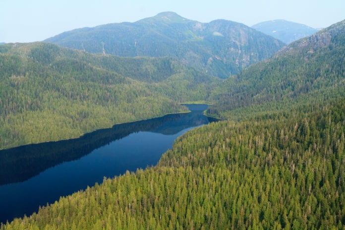 Tongass National Forest. Photo courtesy of Alan Wu/Flickr