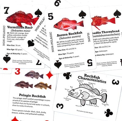 A new card game teaches players how to identify wild Alaska sea critters and more. Photo courtesy of the Alaska Department of Fish and Game